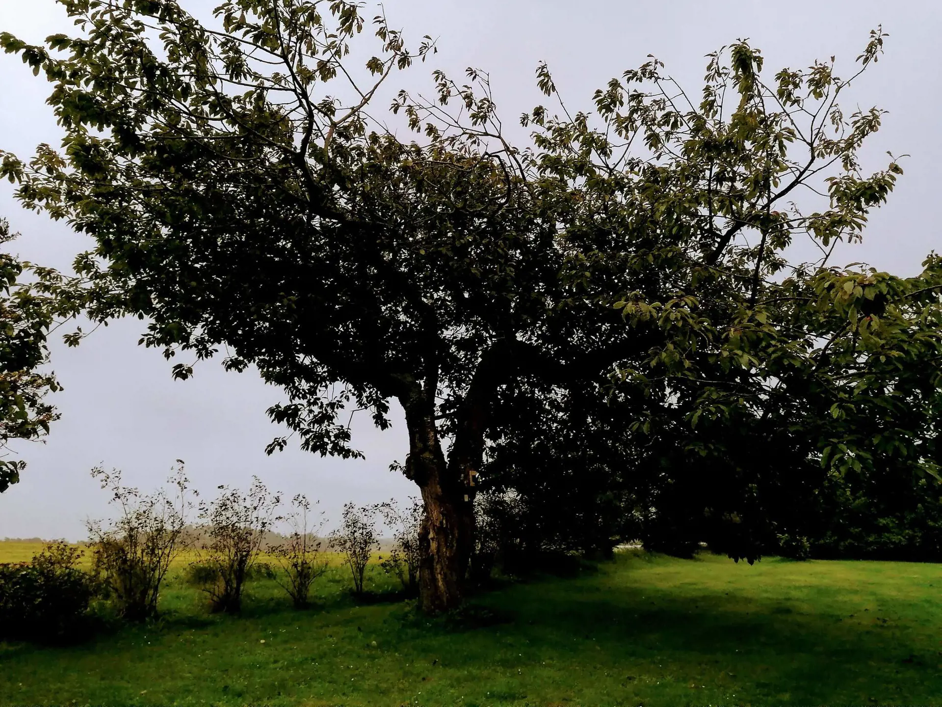 Bild 38 von 43