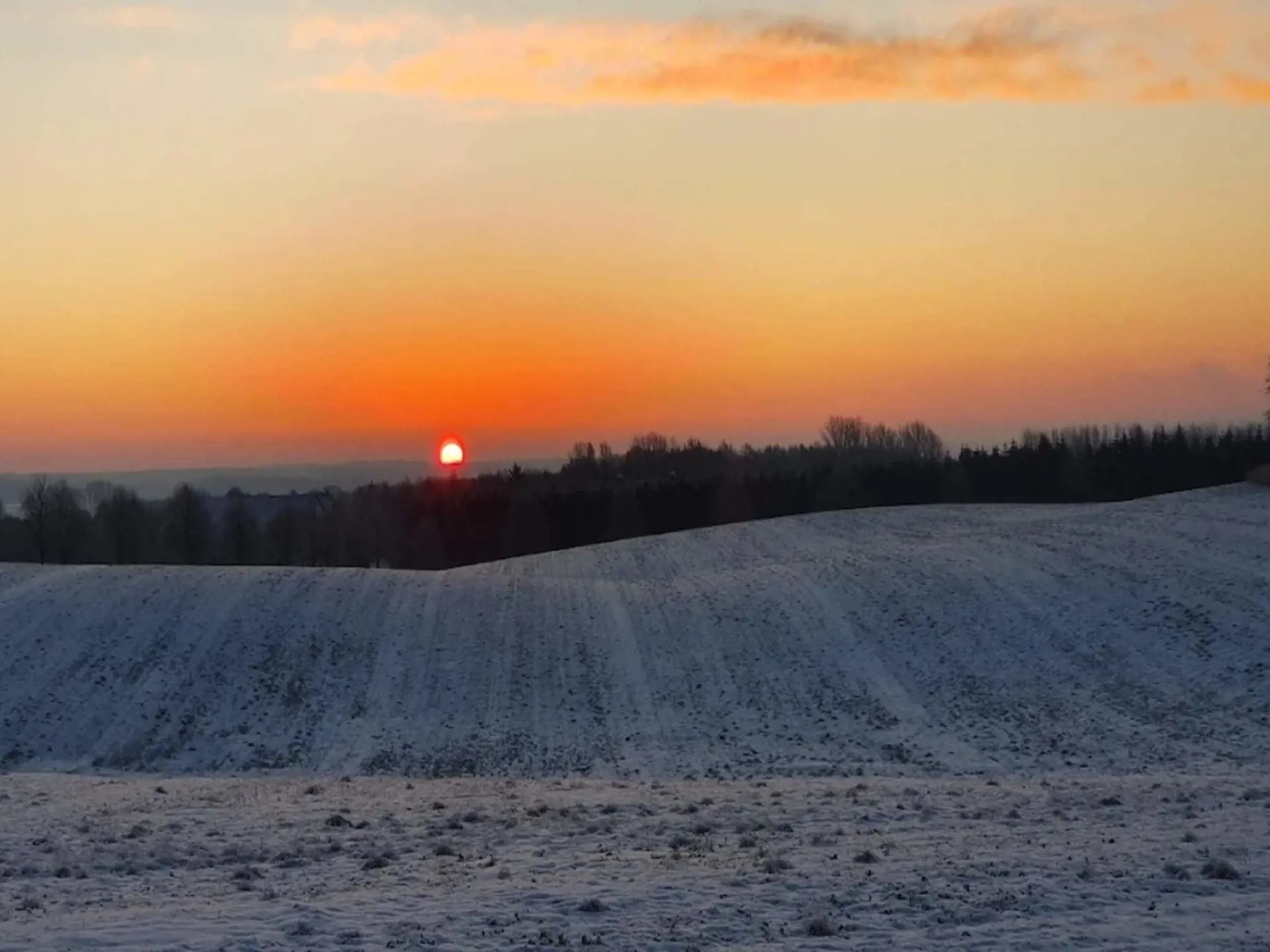 Bild 39 von 40