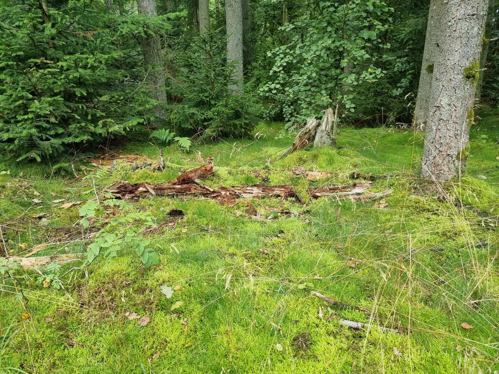 Bild 35 von 37