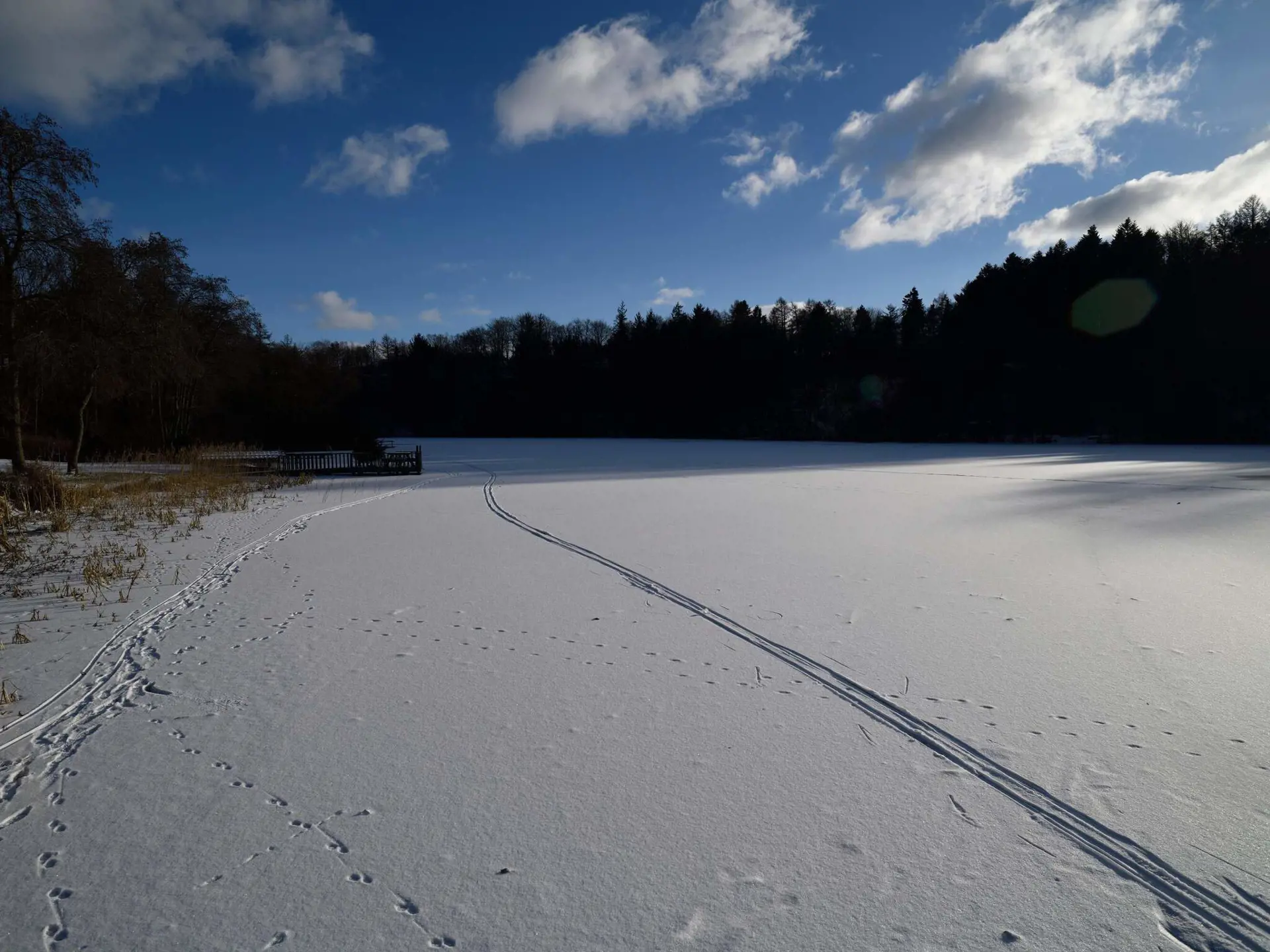 Bild 36 von 37