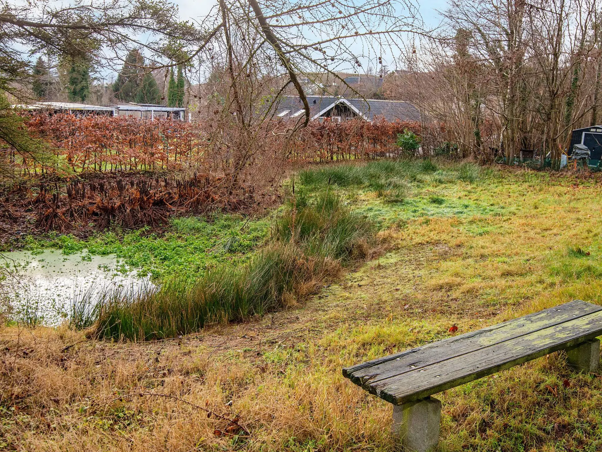Bild 5 von 27