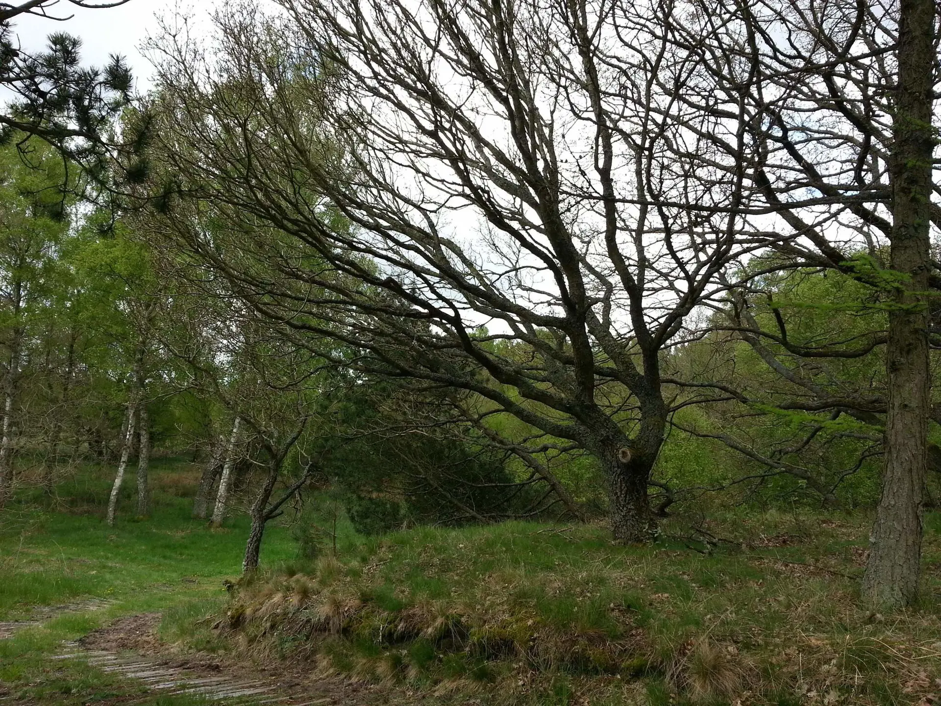 Bild 33 von 40