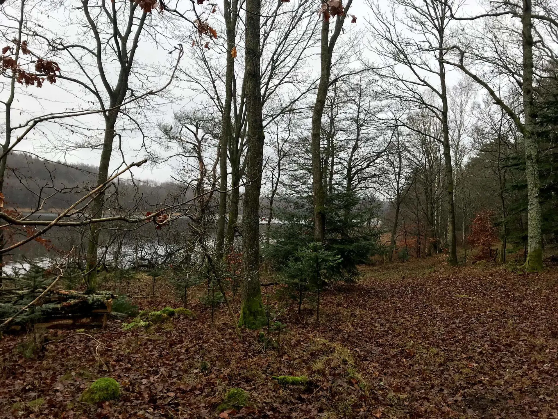 Bild 34 von 40