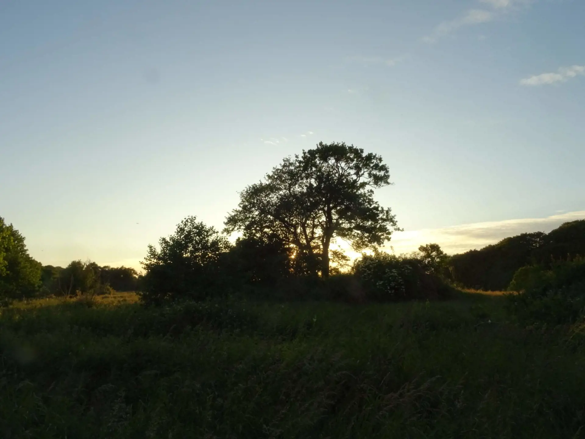 Bild 37 von 40