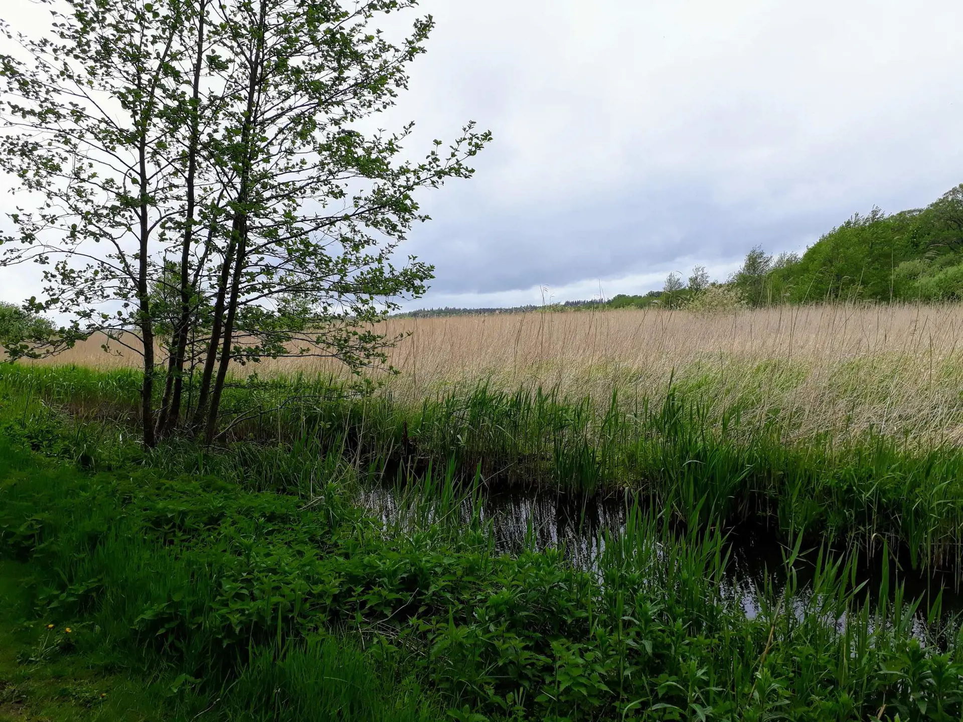 Bild 40 von 40