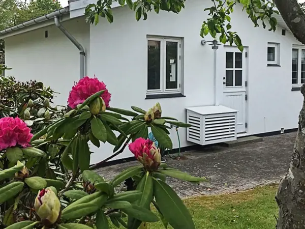Bild 3 von 19