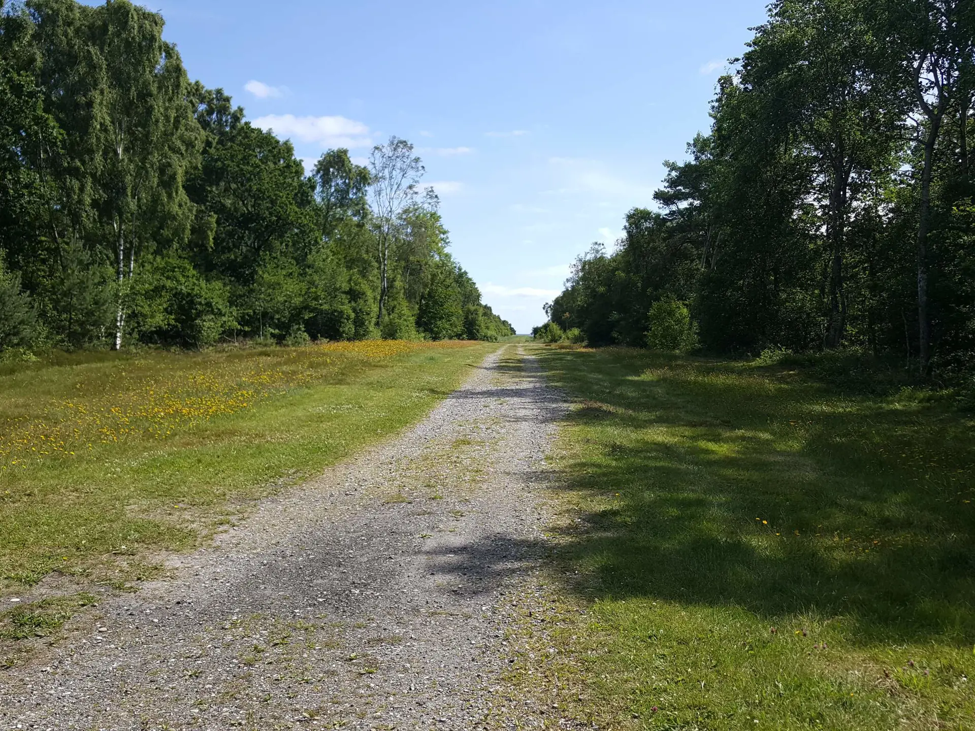 Bild 37 von 40