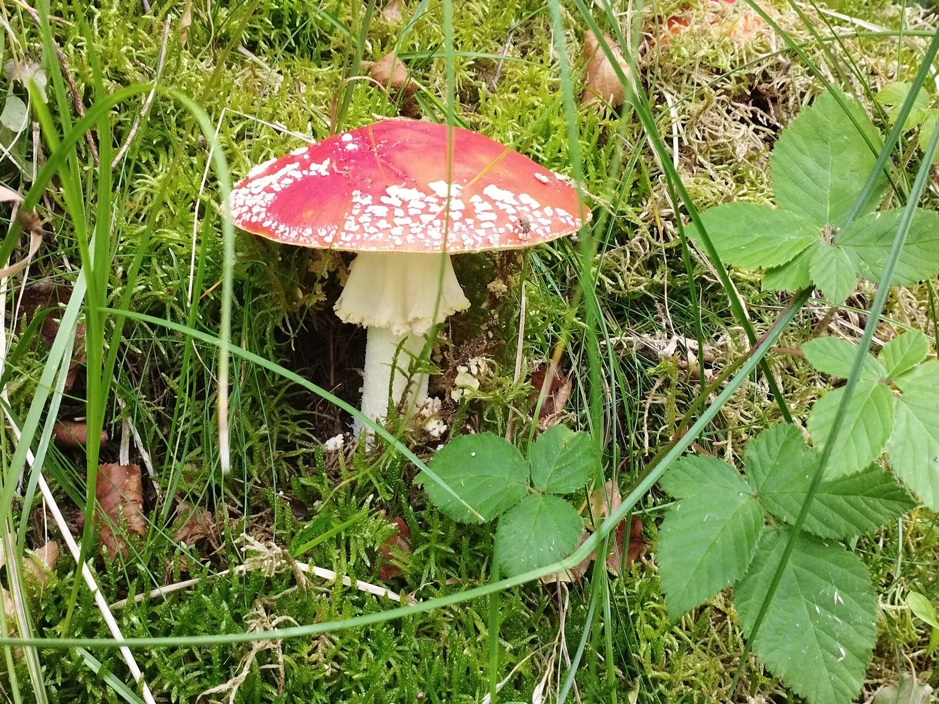 Bild 39 von 40