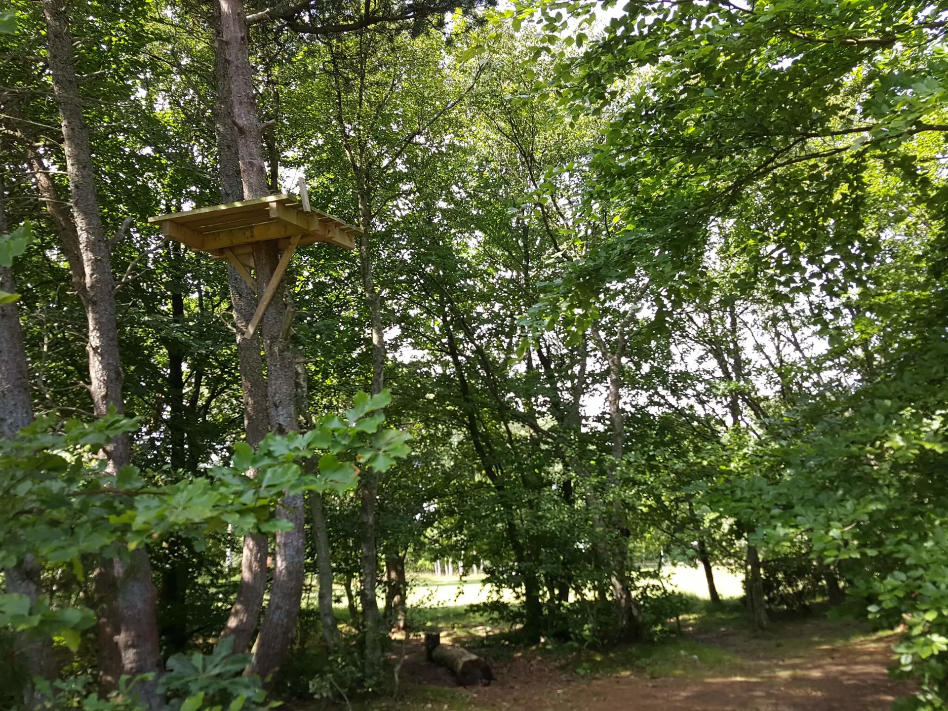 Bild 40 von 40