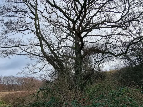 Bild 30 von 36