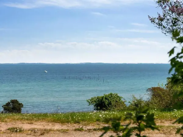 Bild 24 von 42
