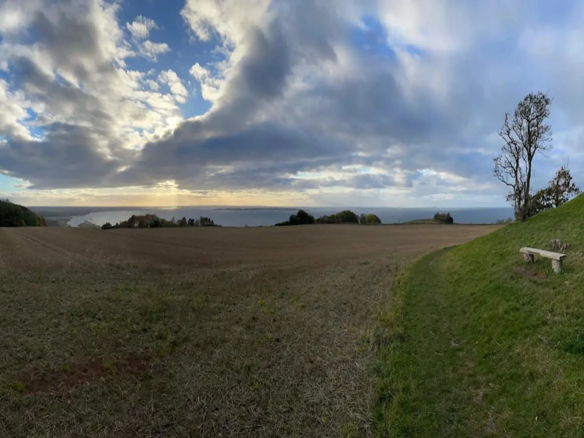 Bild 48 von 50