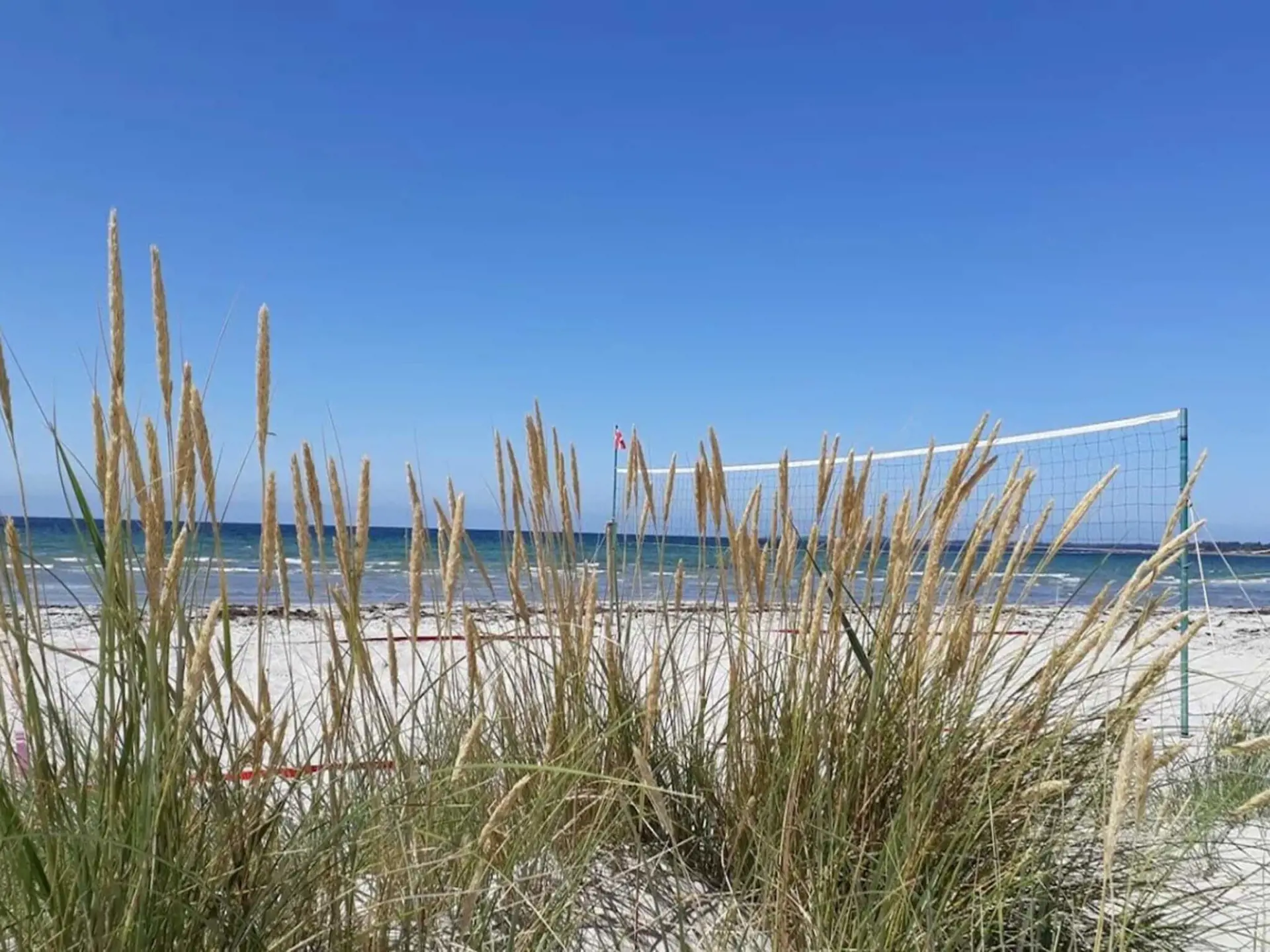 Bild 30 von 56