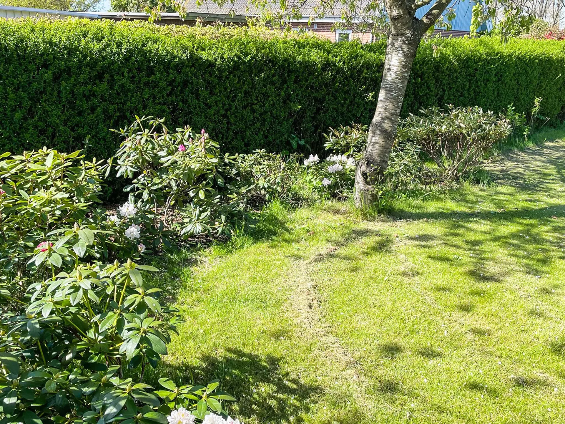 Bild 5 von 33