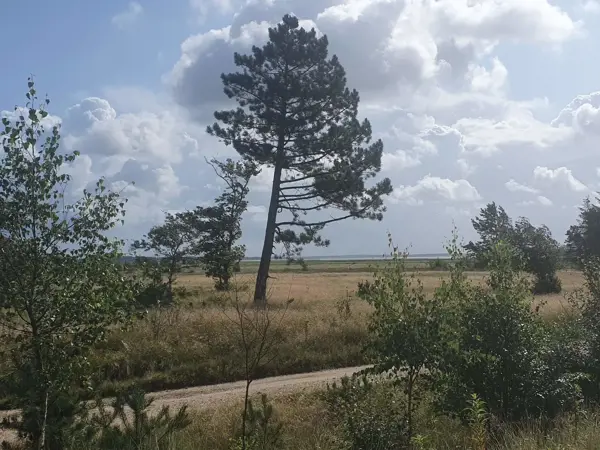 Bild 31 von 39