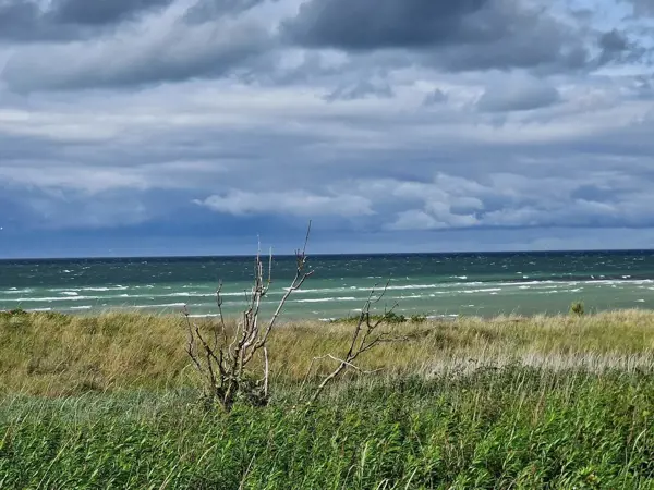 Bild 36 von 38