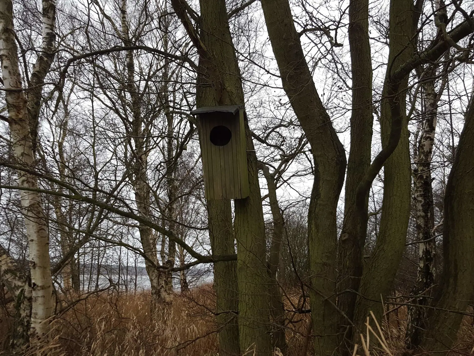 Bild 34 von 35