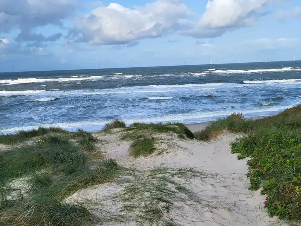 Bild 17 von 34