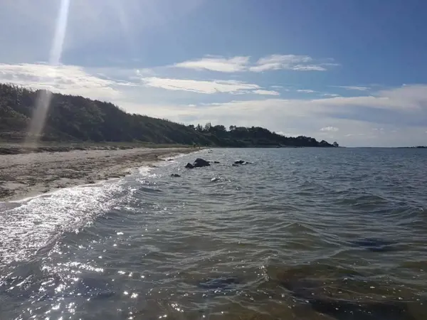 Bild 37 von 55