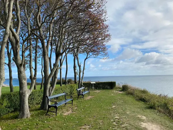 Bild 38 von 40
