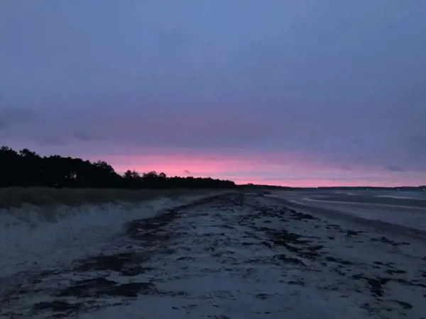 Bild 37 von 38