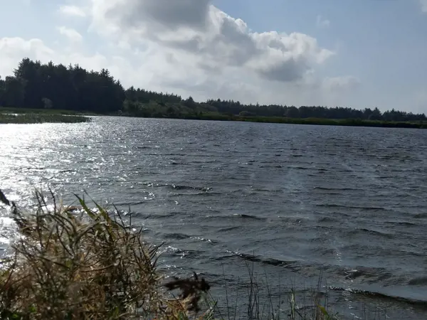 Bild 16 von 40