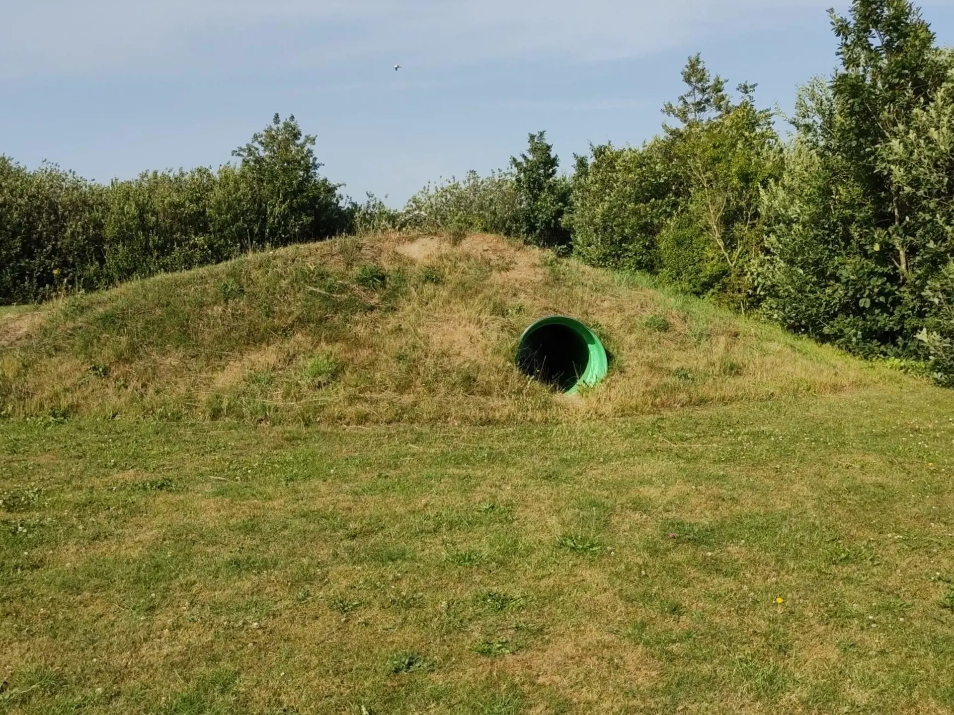 Bild 41 von 43