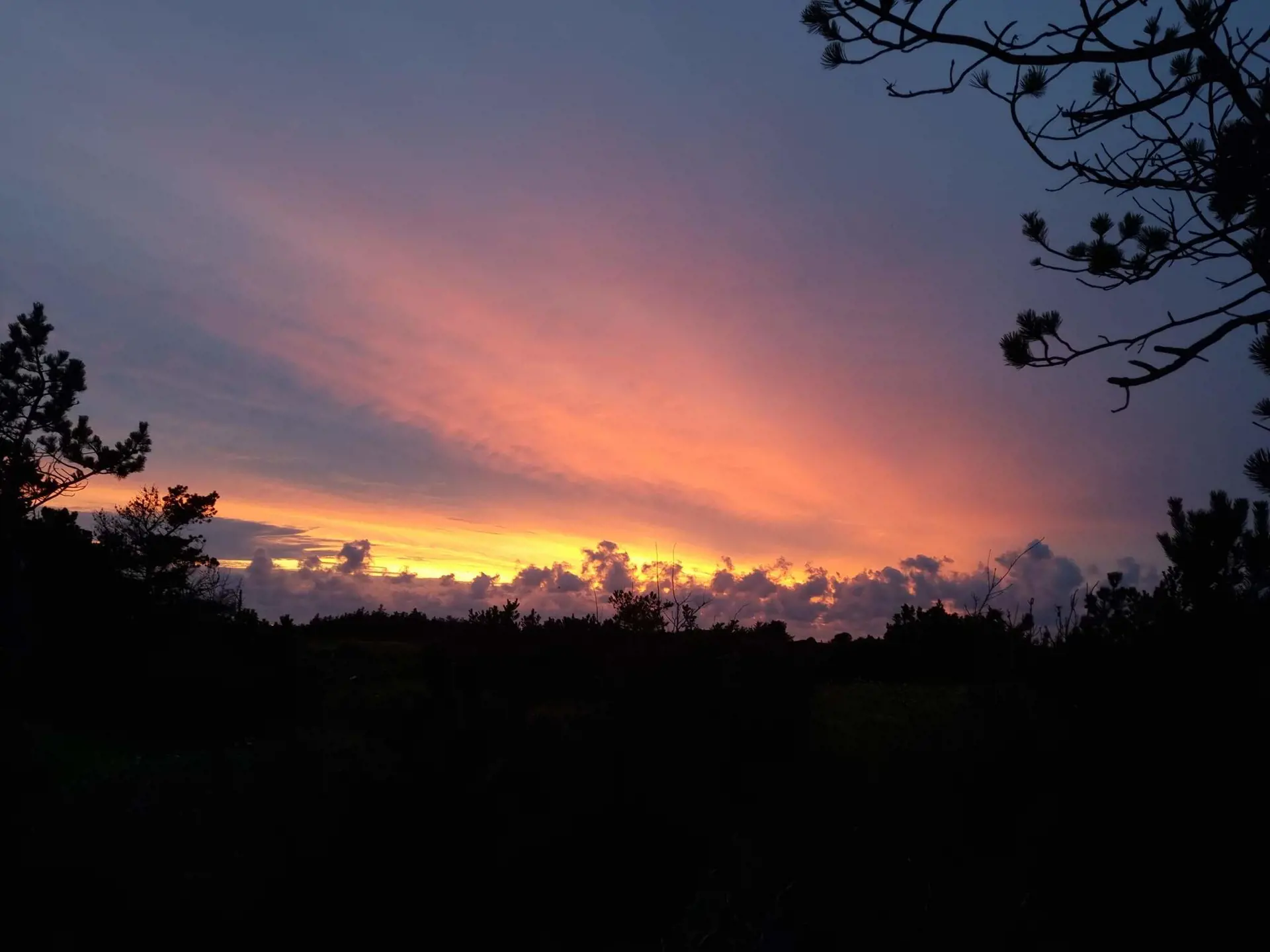 Bild 39 von 39