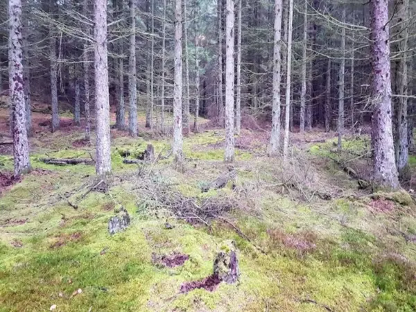Bild 18 von 35