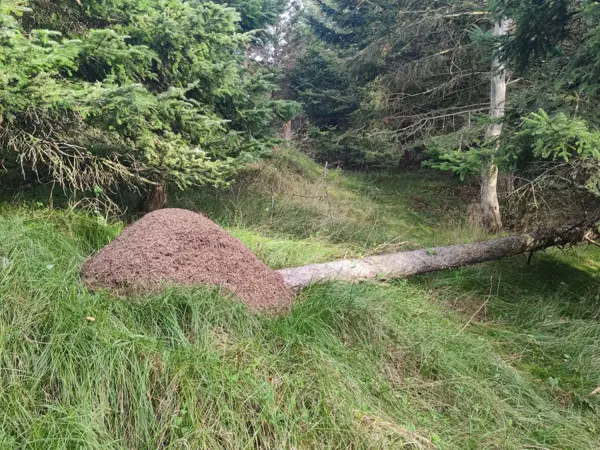 Bild 41 von 41