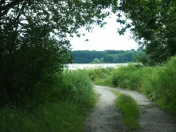 Bild 35 von 35