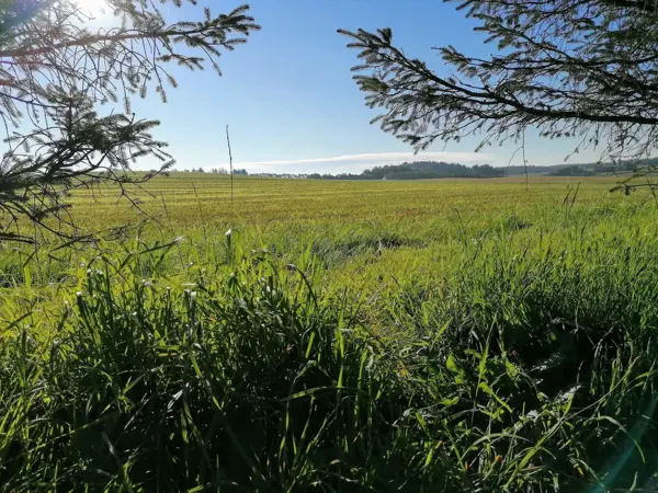 Bild 35 von 40
