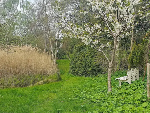 Bild 9 von 21