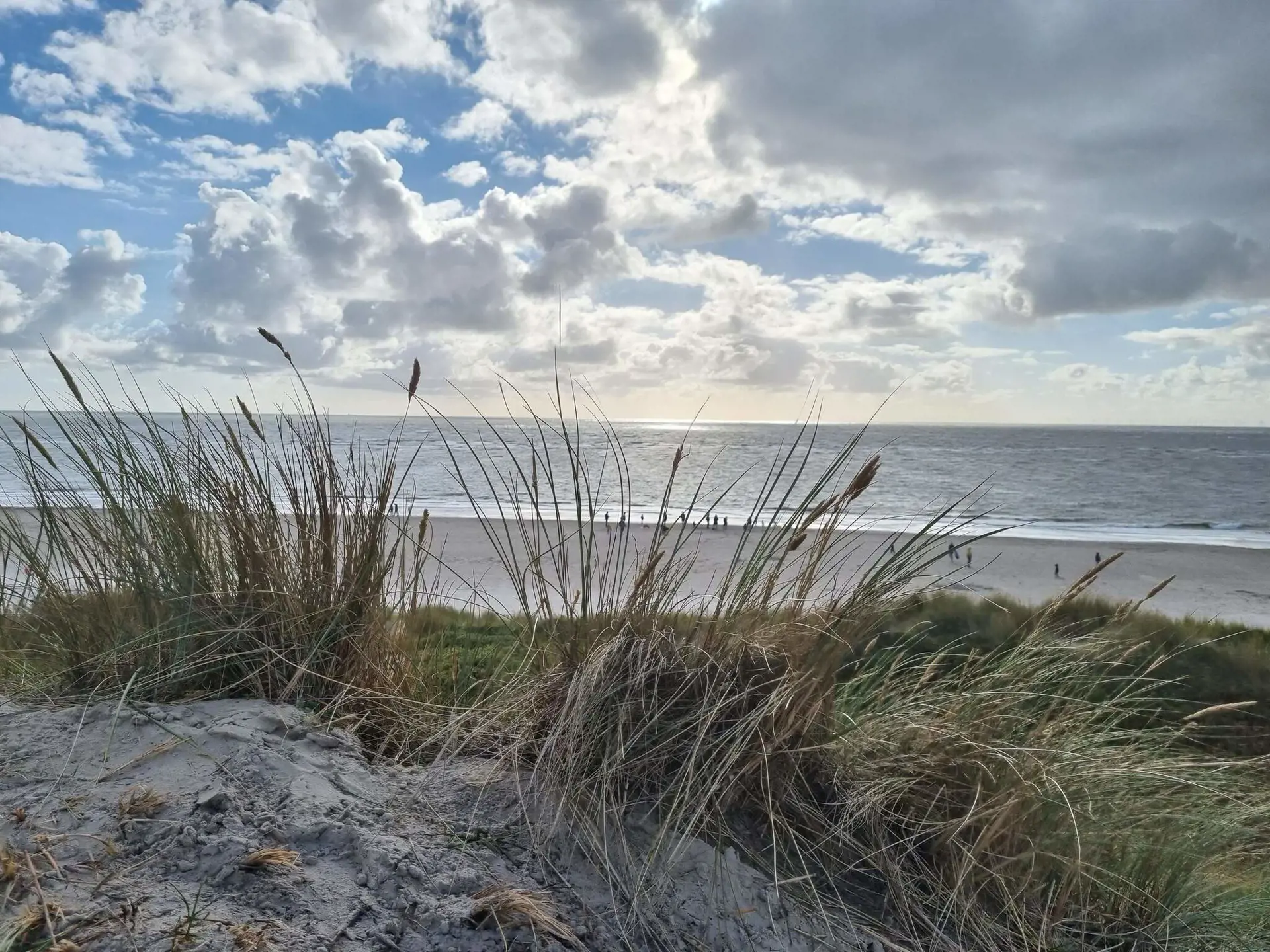 Bild 36 von 37