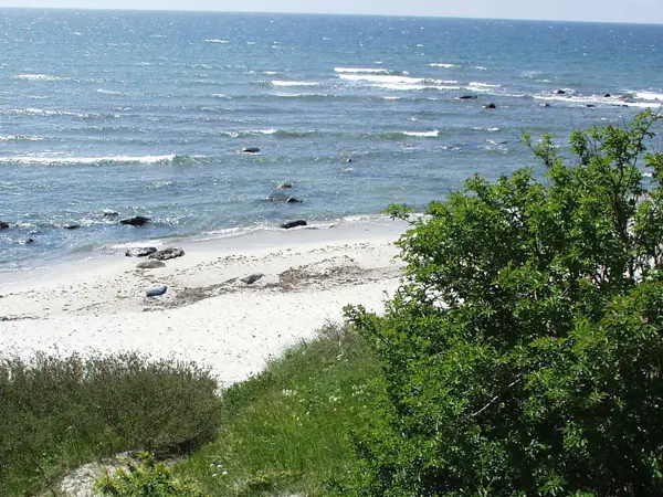 Bild 3 von 23