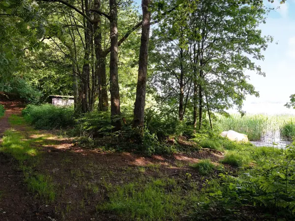 Bild 40 von 40