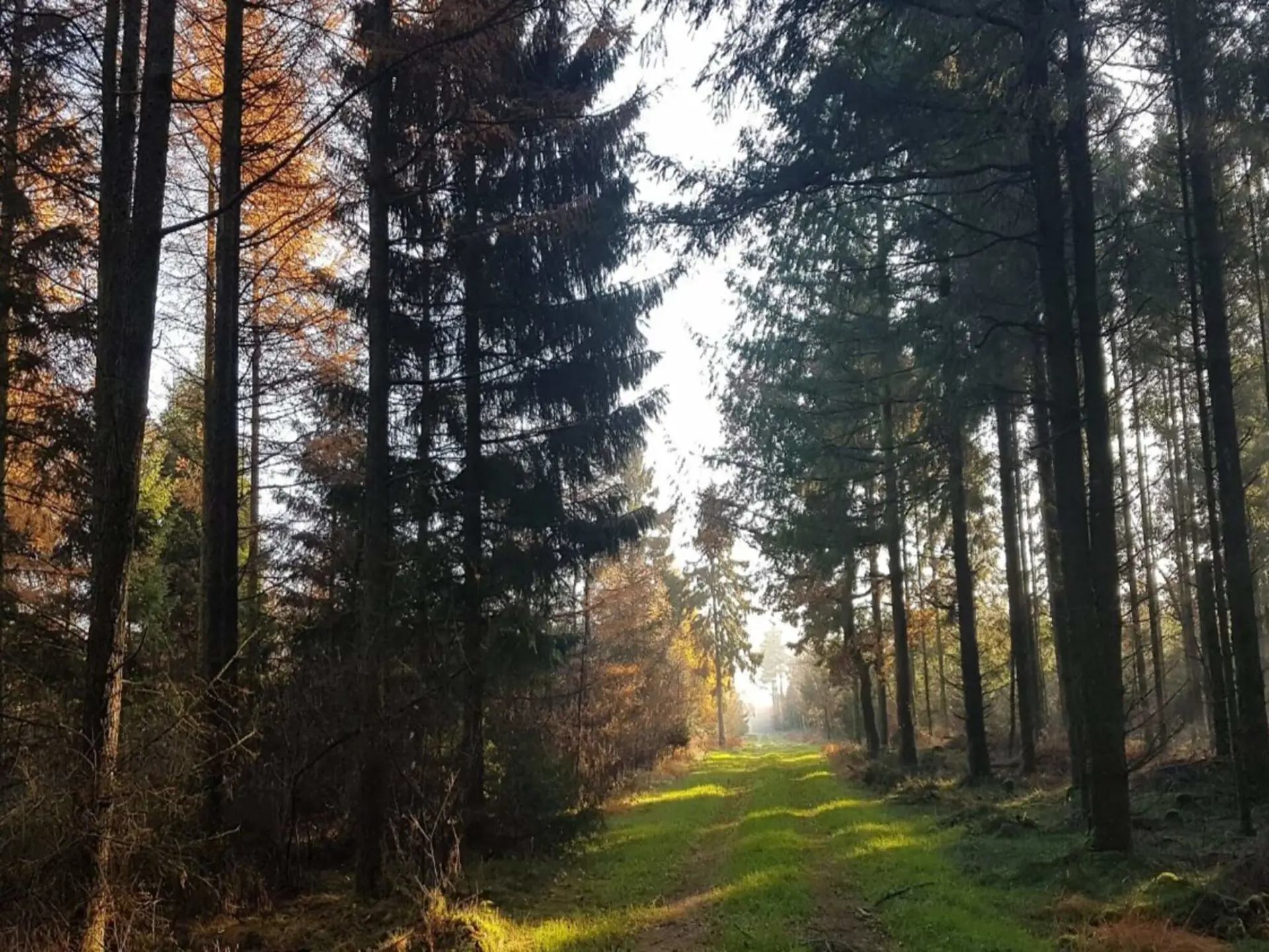 Bild 16 von 31