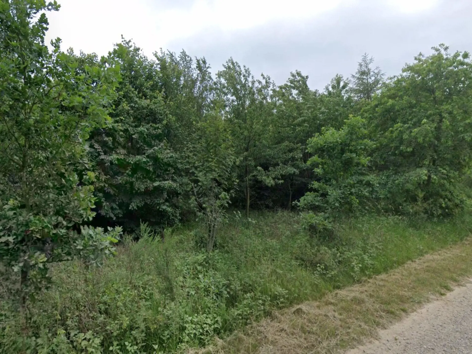 Bild 17 von 31