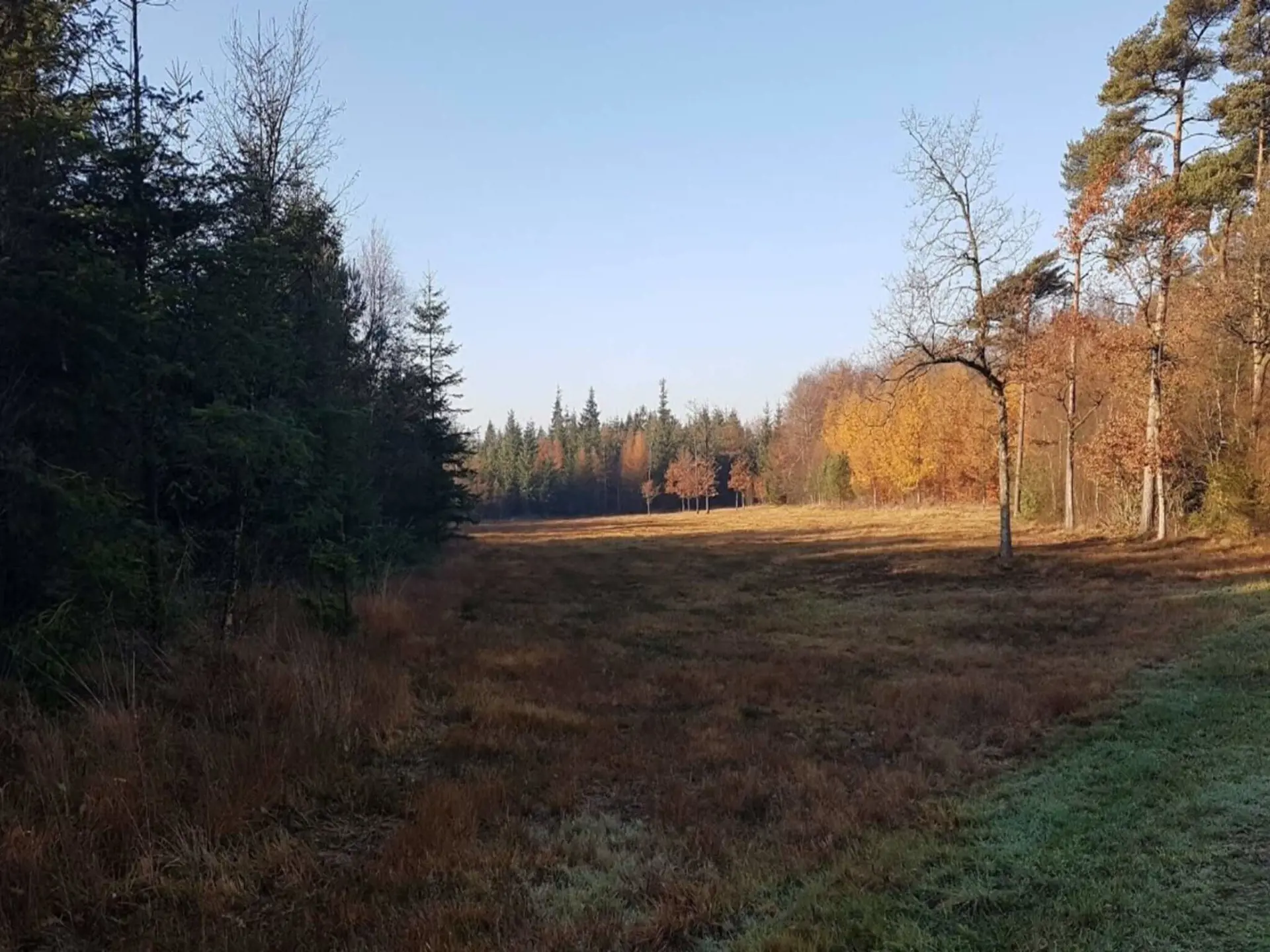 Bild 19 von 31