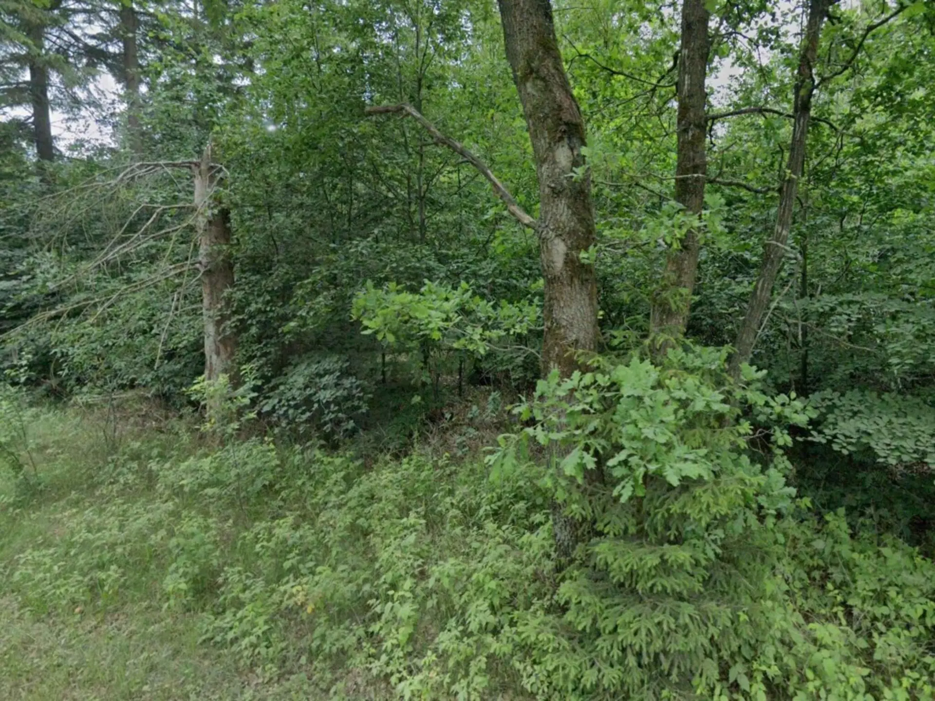 Bild 23 von 31