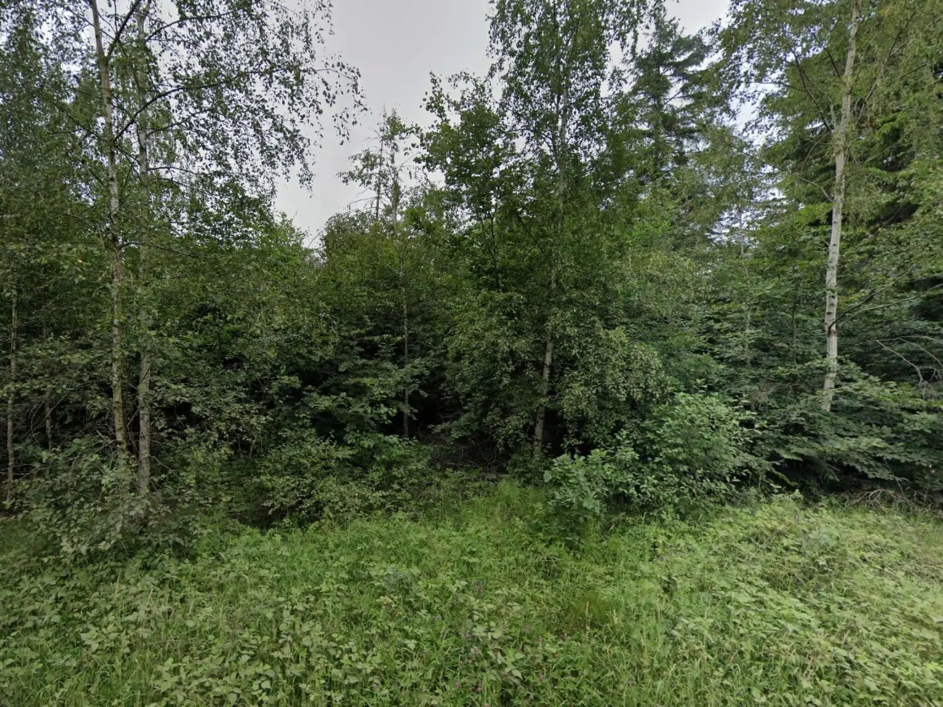 Bild 24 von 31