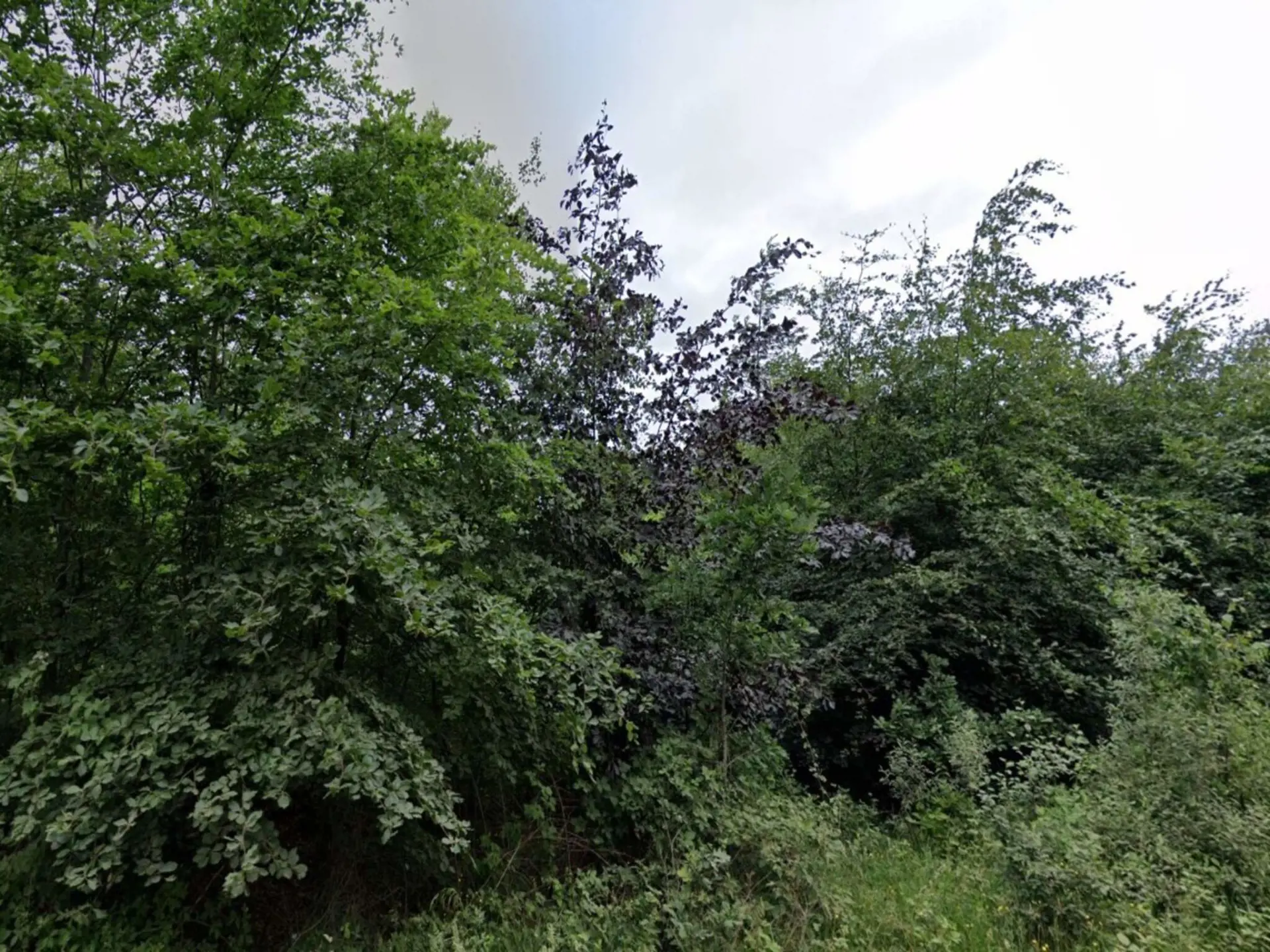 Bild 30 von 31