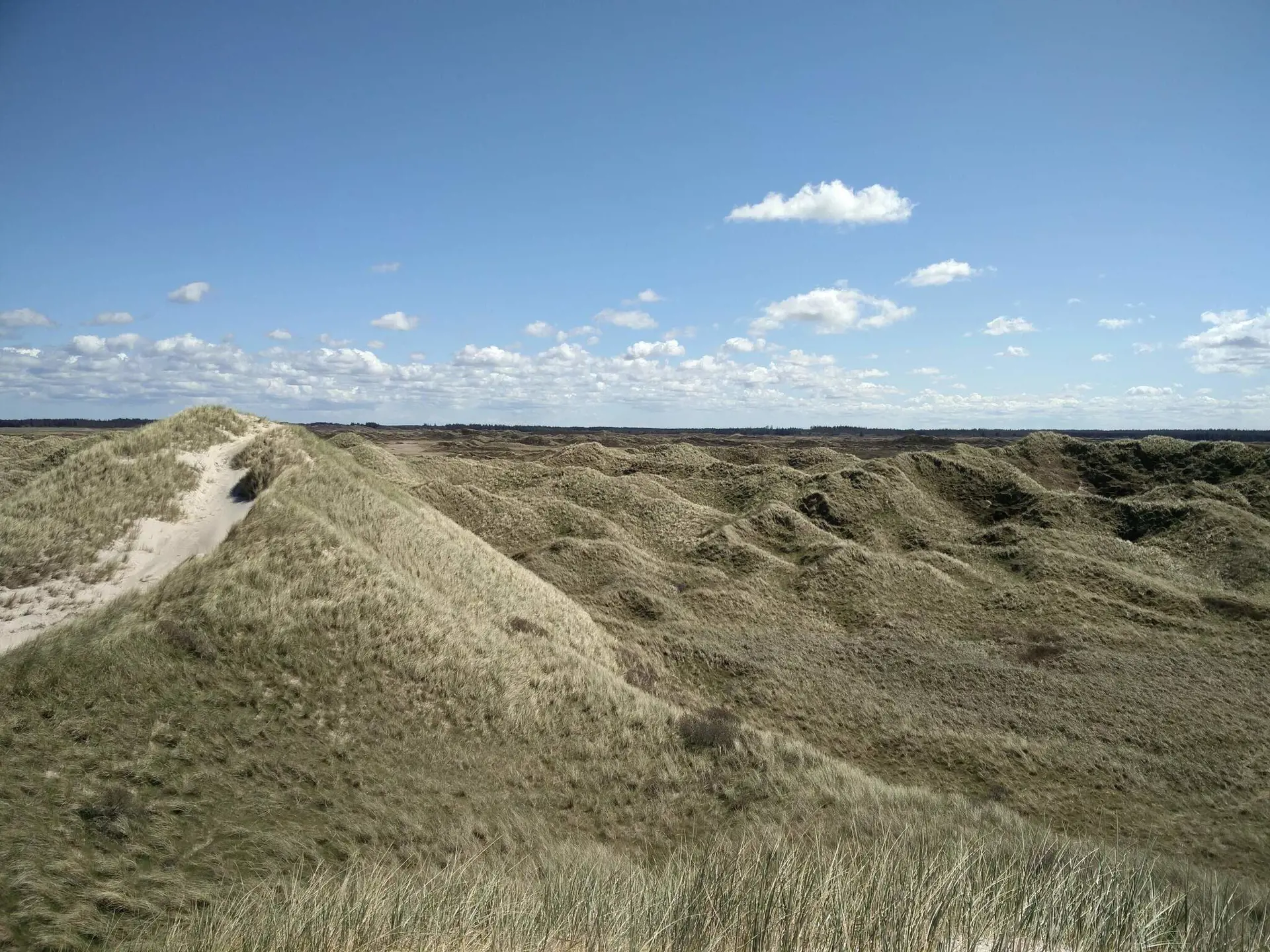 Bild 33 von 41