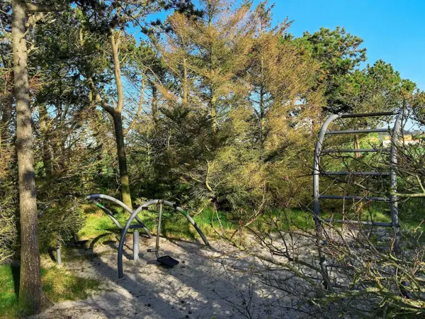Bild 5 von 31