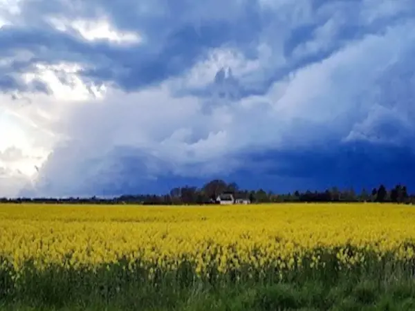 Bild 4 von 32