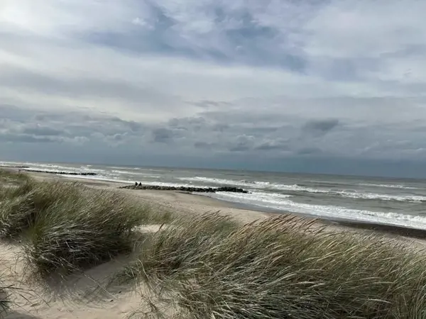 Bild 29 von 51