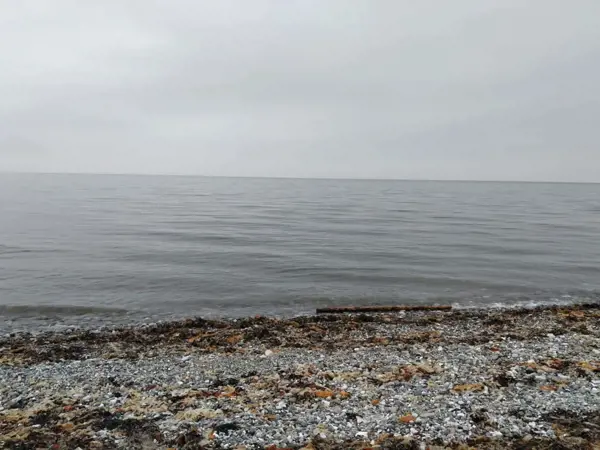 Bild 35 von 55