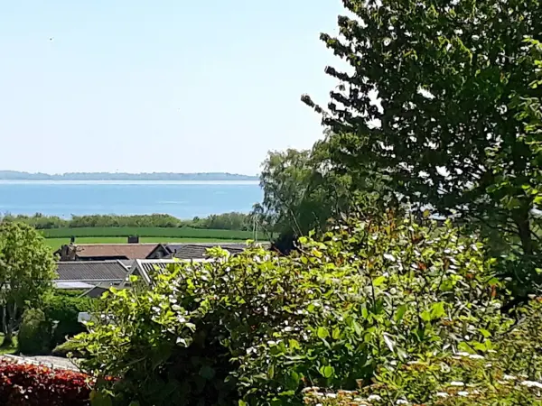Bild 7 von 31