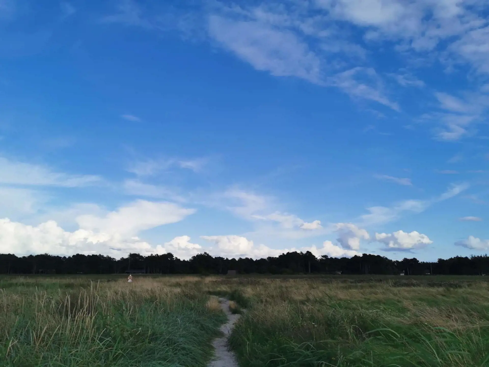 Bild 39 von 40