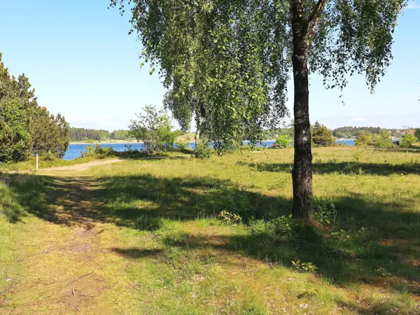 Bild 16 von 40
